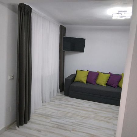 Luxury Apartament Curtea de Argeş Zewnętrze zdjęcie