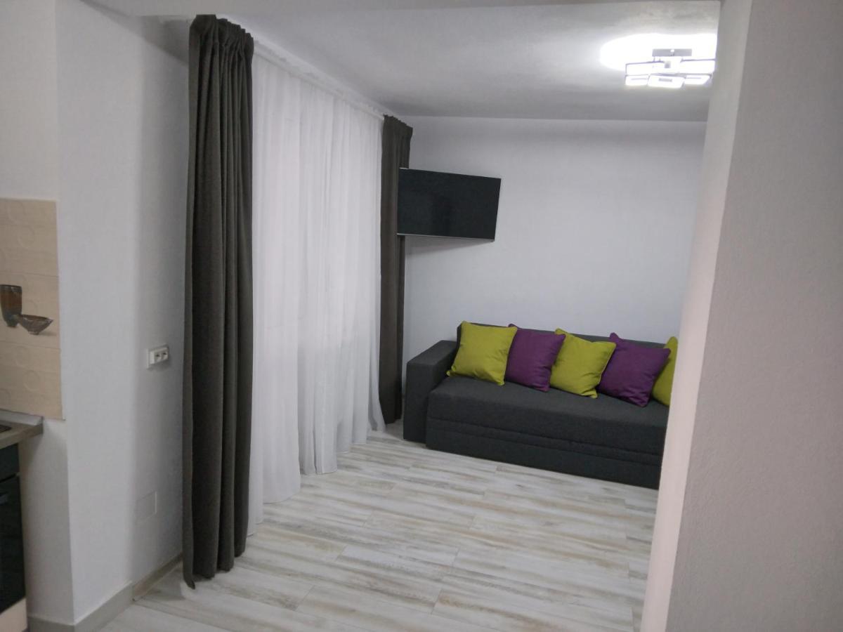 Luxury Apartament Curtea de Argeş Zewnętrze zdjęcie