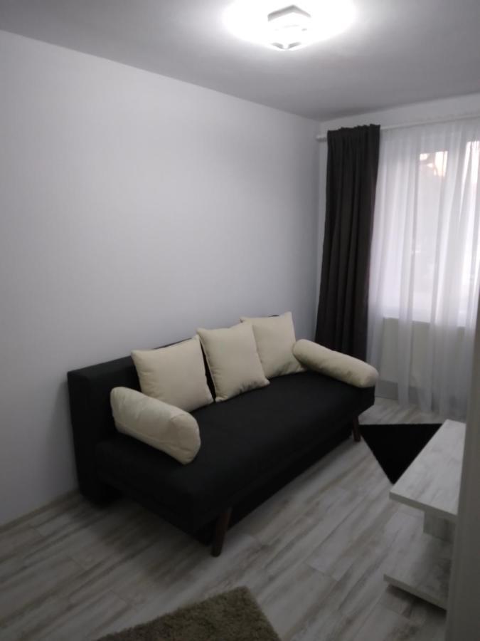 Luxury Apartament Curtea de Argeş Zewnętrze zdjęcie