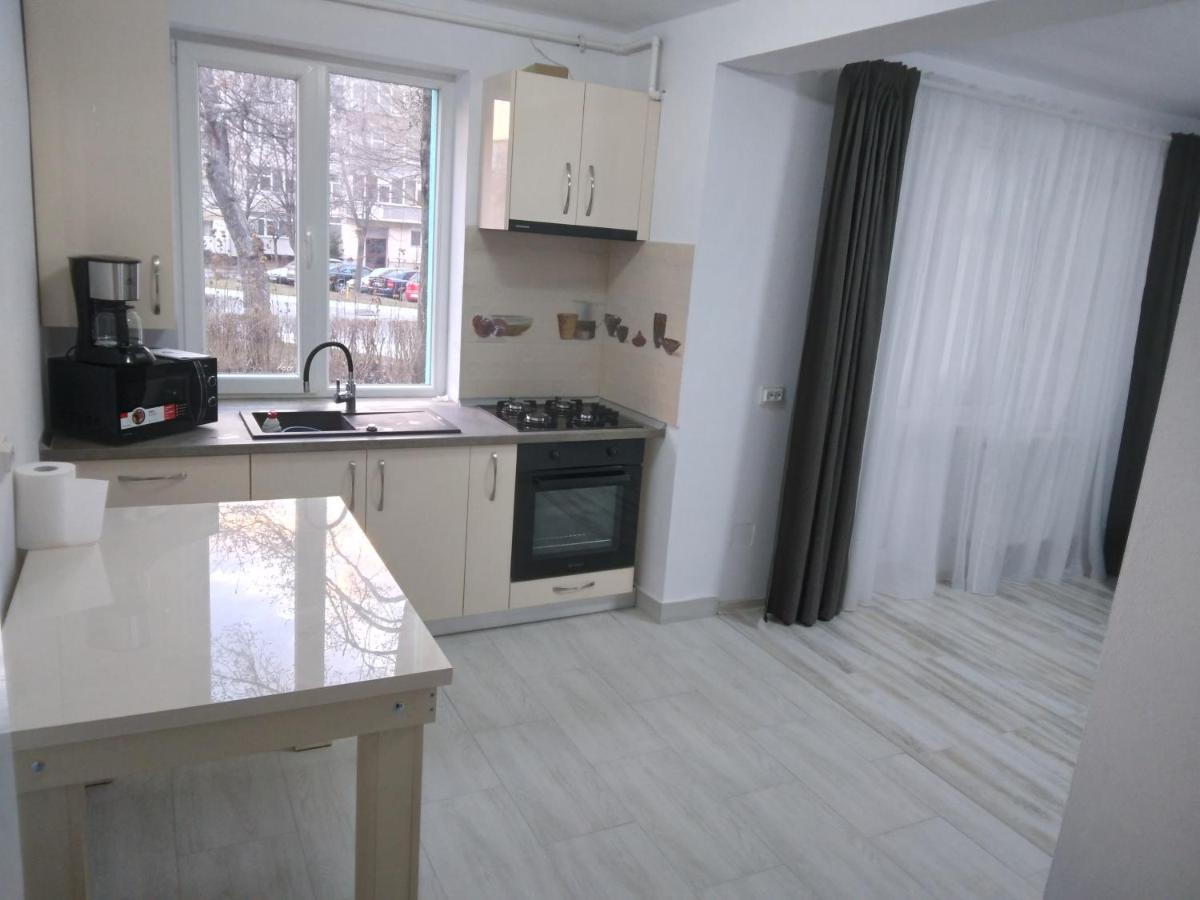 Luxury Apartament Curtea de Argeş Zewnętrze zdjęcie