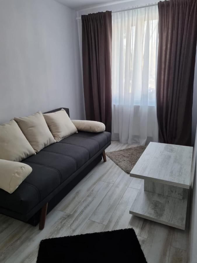 Luxury Apartament Curtea de Argeş Zewnętrze zdjęcie