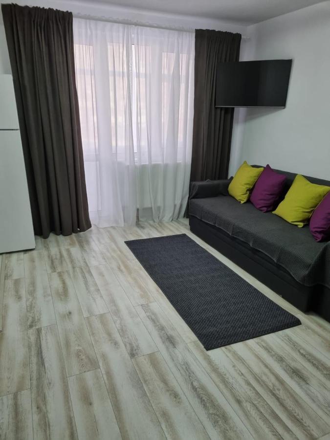 Luxury Apartament Curtea de Argeş Zewnętrze zdjęcie